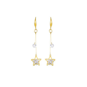 star titanium earrings