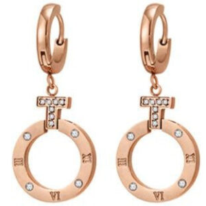 ancient roman numeral earrings